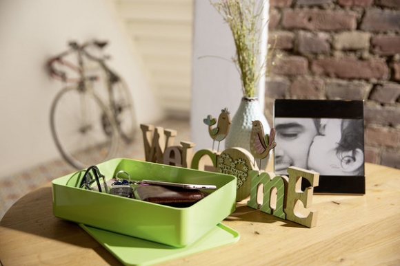 Smart-Organizer Allison, Innen- schale und Deckel, lime green