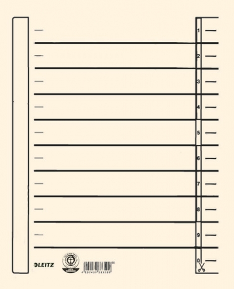 Trennblätter Karton A4 chamois, Lochung hinterklebt, seitl. Druck sw